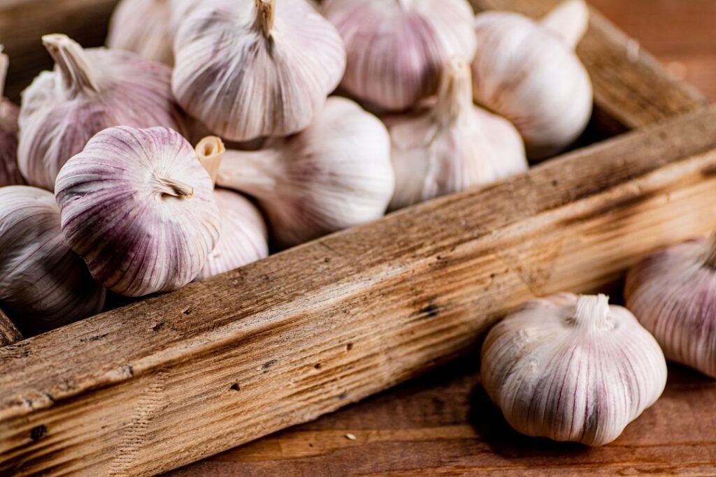 AJO GARLIC