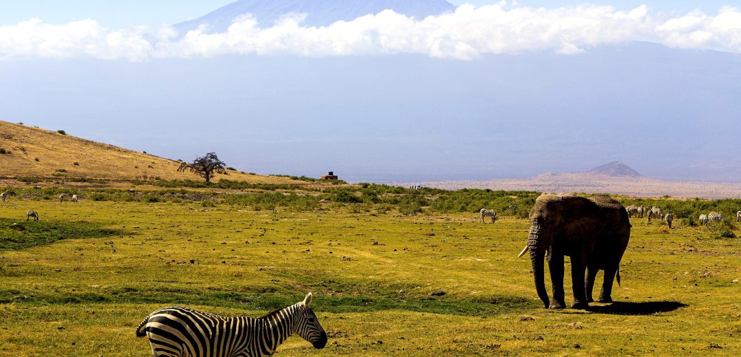 Tanzania