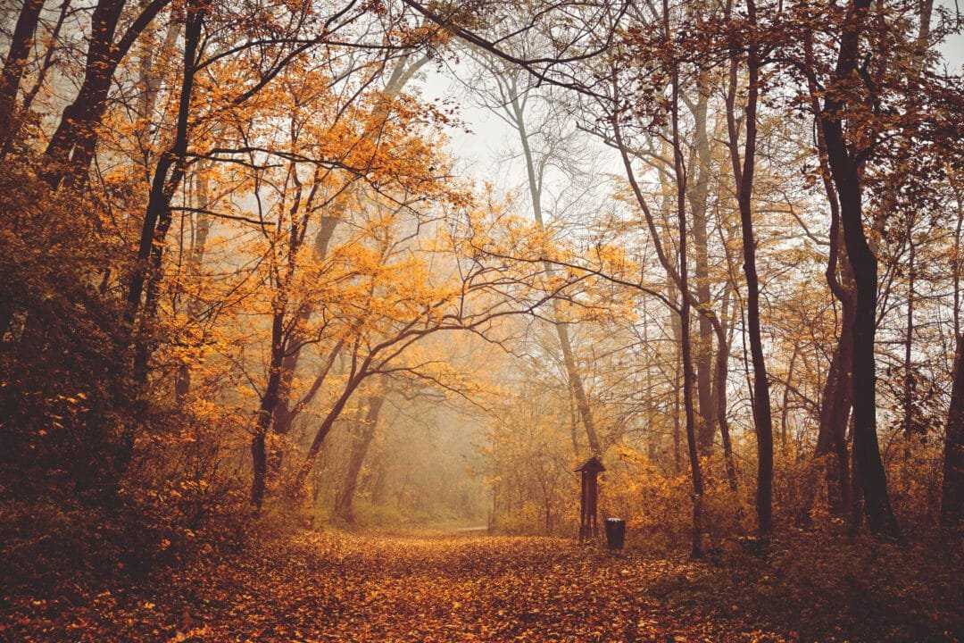 Quebec otoño