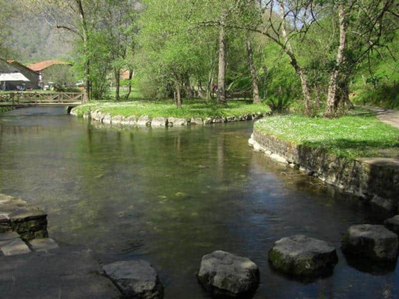 El bosque de las secuoyas en Cantabria