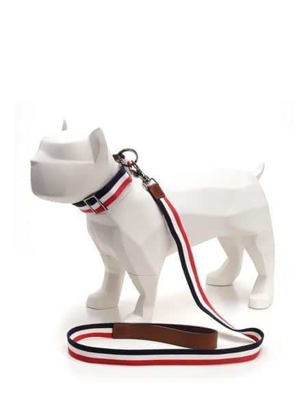 Moncler y Poldo Dog Couture