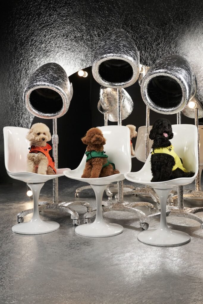 Moncler x Poldo Dog Couture
