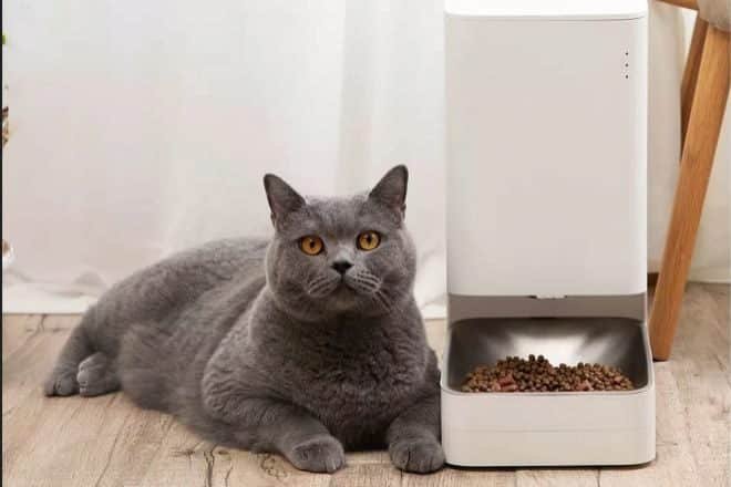 Xiaomi Smart Alimentador de alimentos para mascotas