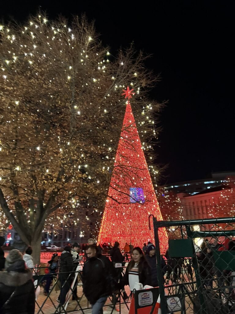 Arbol Navidad Denver