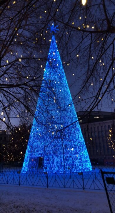 Arbol Navidad Denver
