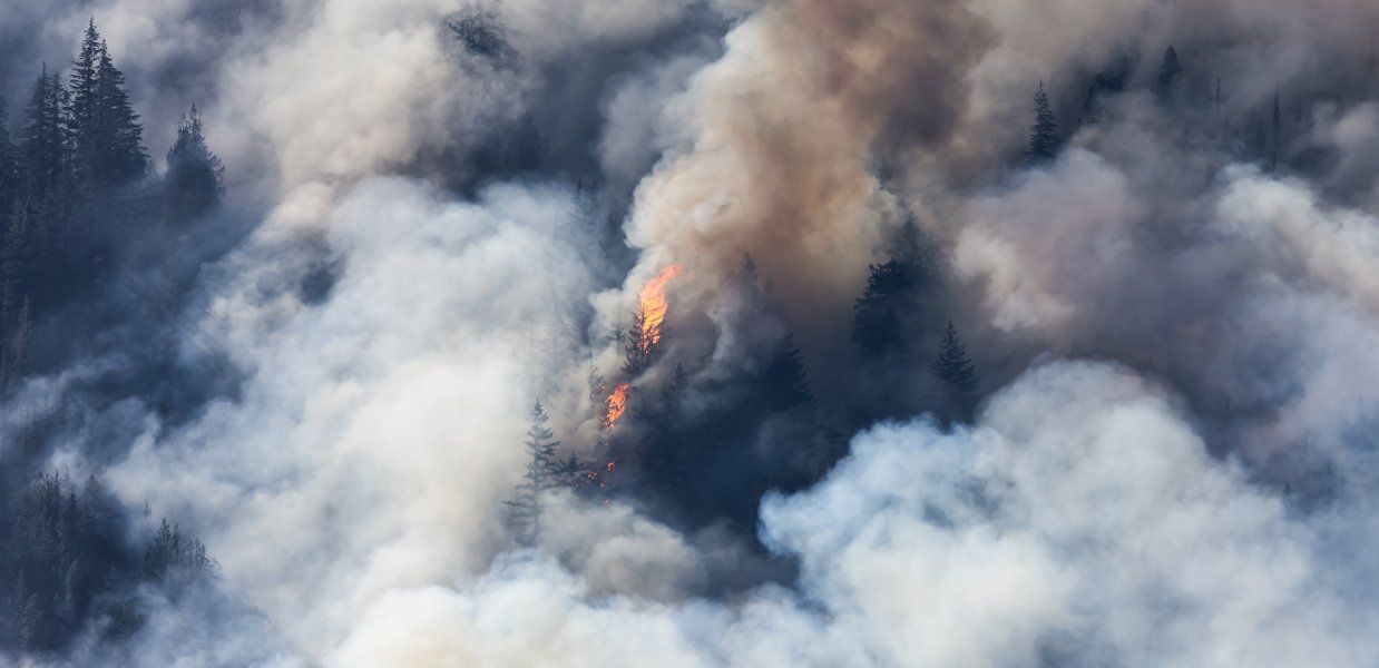 Incendio forestal