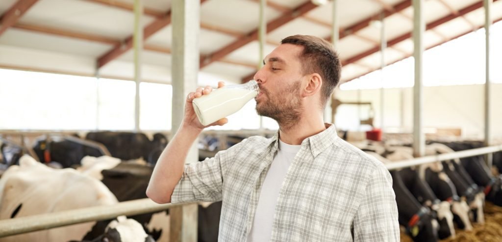 Leche de vaca tomar