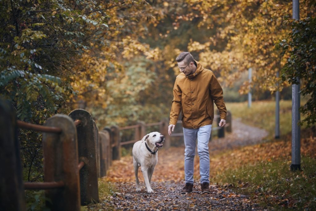 ropa para otoño hombre