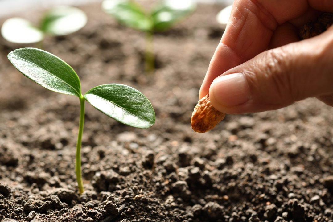 Tips para cuidar el medio ambiente