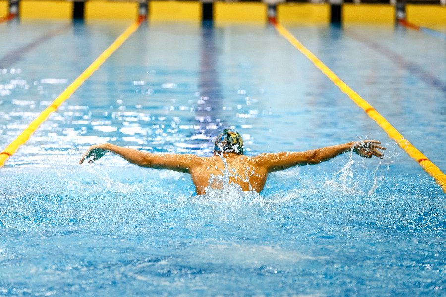 Deportes básicos natación