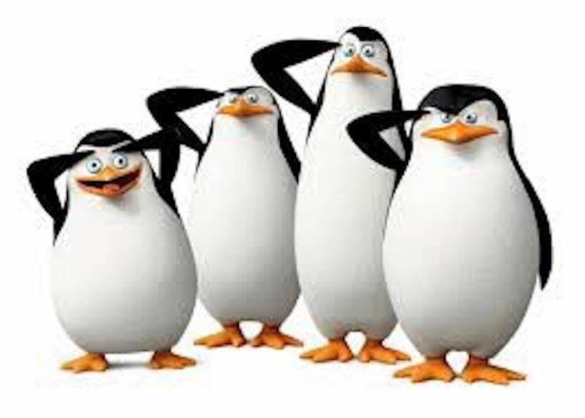 pingüinos de Madagascar