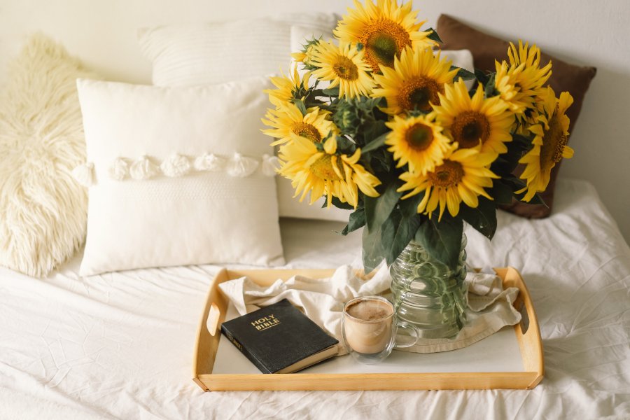 Girasol Flores hermosas para una mujer