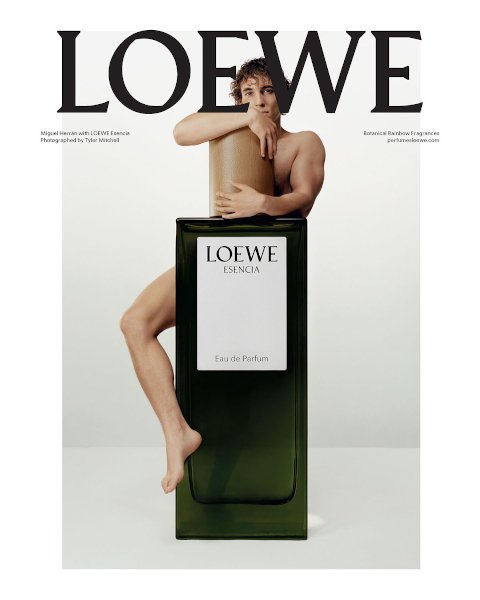 Earth, Loewe perfume para el frío hombre