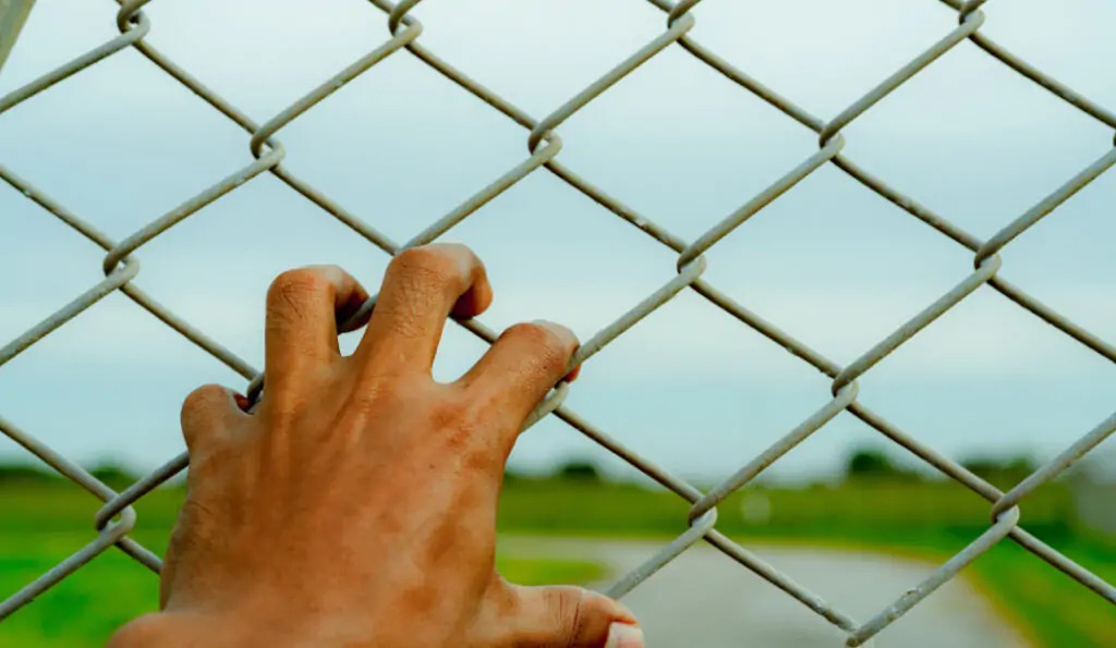 impacto emocional del crimen en inmigrantes