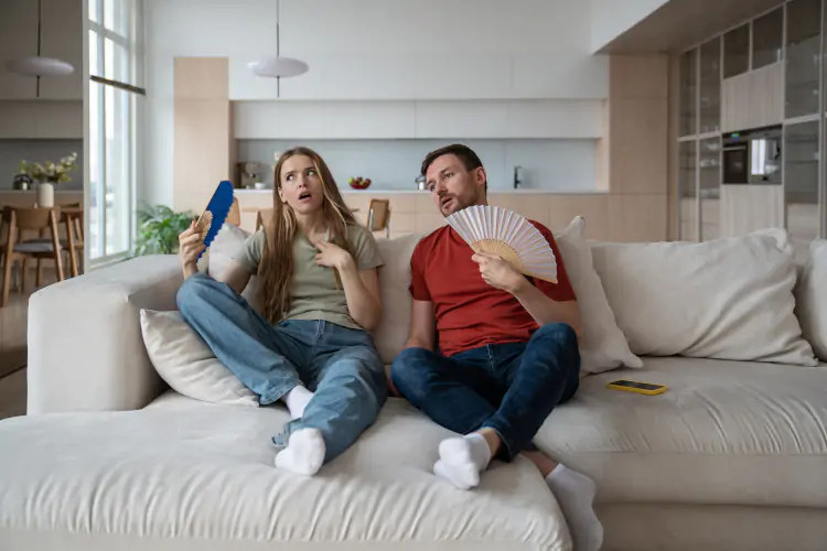 comportamiento y agresividad calor extremo