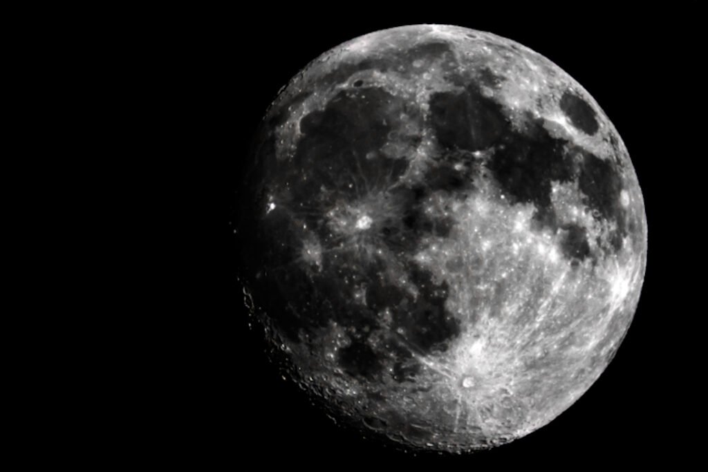 la luna abrir especies