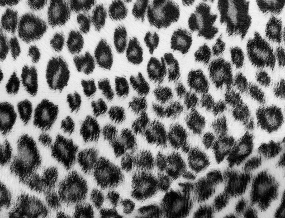 estampados animales moda leopardo blanco