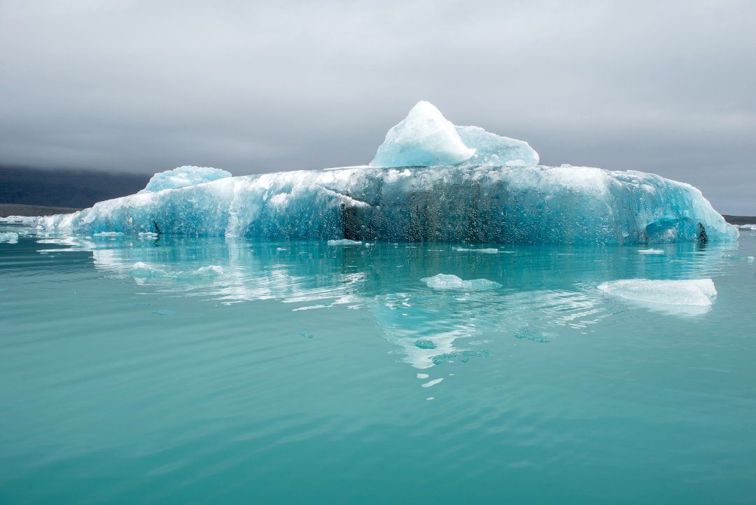 cambio climático biodiversidad polos